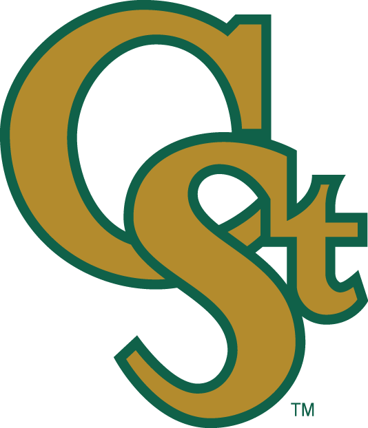 Colorado State Rams 1993-2015 Secondary Logo t shirts iron on transfers